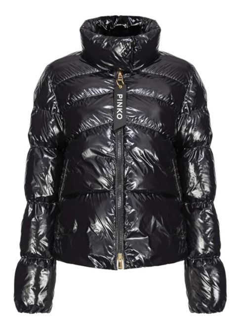 Mirco women's down jacket Pinko | 101598-A11K.Z99